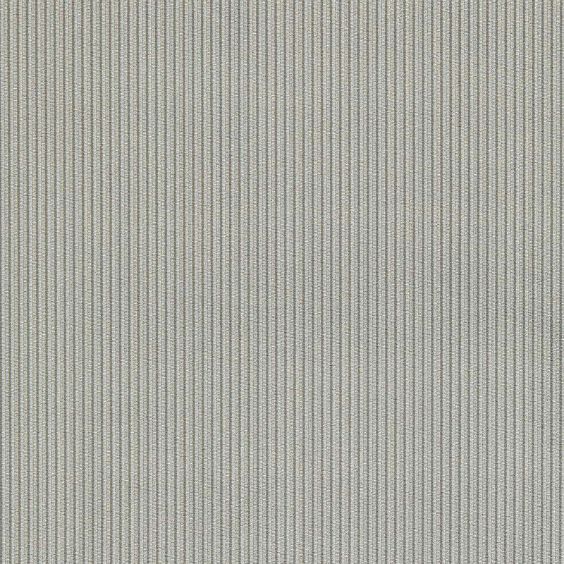 F1688/04 Ashdown Whitworth Graphite Fabric by Clarke & Clarke
