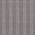 Haldon Whitworth Graphite Fabric by Clarke & Clarke
