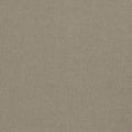 Paradiso Ash Fabric by Clarke & Clarke