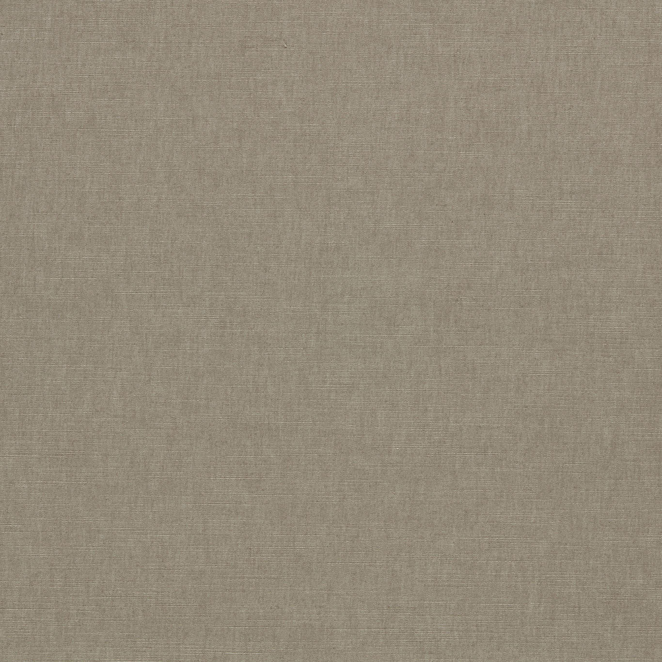 F1707/01 Paradiso Ash Fabric by Clarke & Clarke
