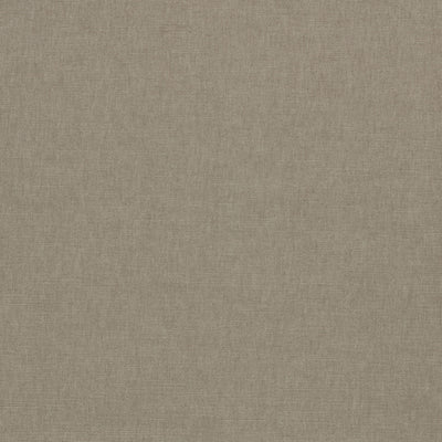 Paradiso Ash Fabric by Clarke & Clarke