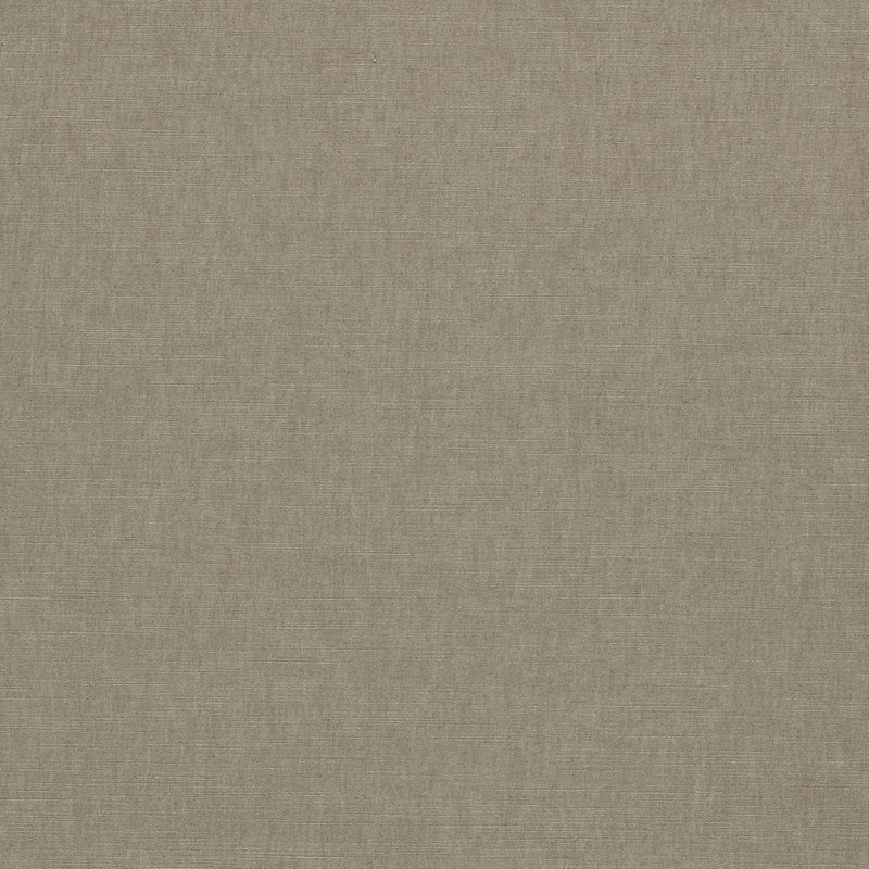 F1707/01 Paradiso Ash Fabric by Clarke & Clarke