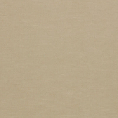 Paradiso Buff Fabric by Clarke & Clarke