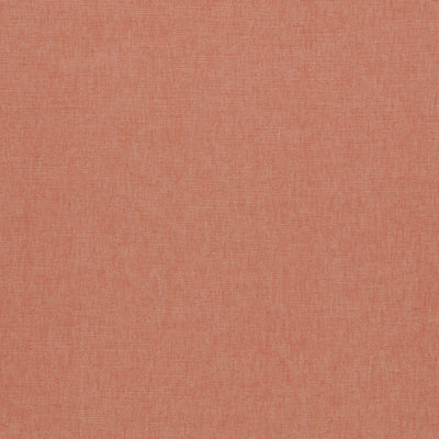 Paradiso Coral Fabric by Clarke & Clarke