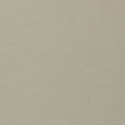 Paradiso Dove Fabric by Clarke & Clarke