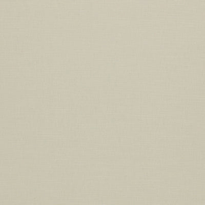 Paradiso Ivory Fabric by Clarke & Clarke