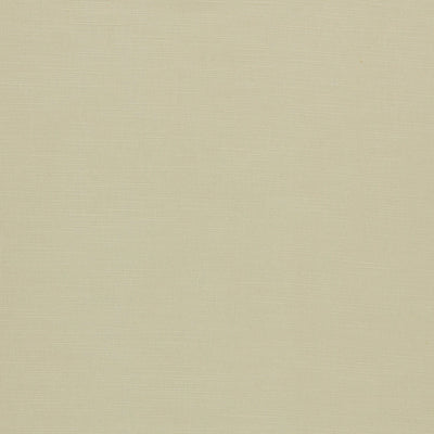 Paradiso Natural Fabric by Clarke & Clarke