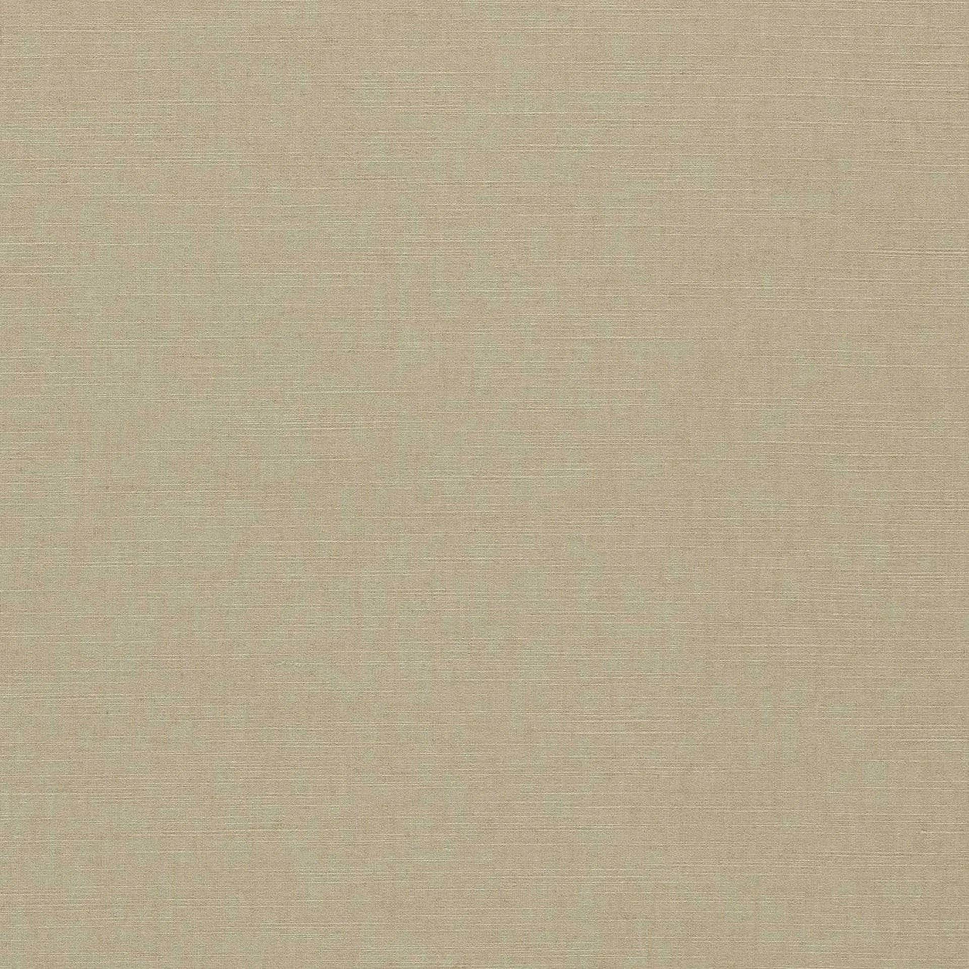 F1707-18 Paradiso Oatmeal Fabric by Clarke & Clarke