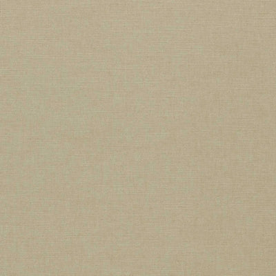 Paradiso Oatmeal Fabric by Clarke & Clarke