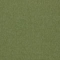 Paradiso Olive Fabric by Clarke & Clarke