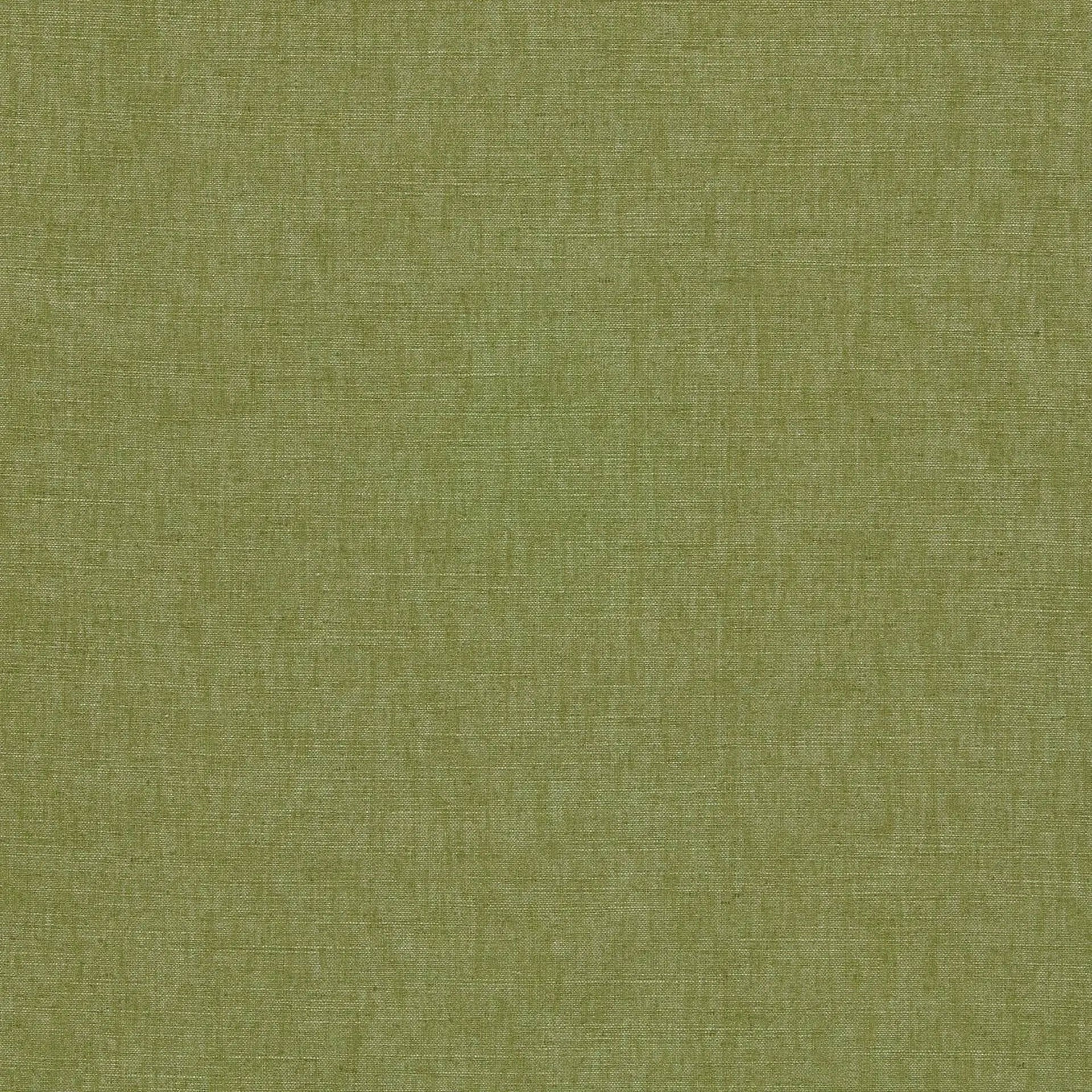 F1707-20 Paradiso Palm Fabric by Clarke & Clarke