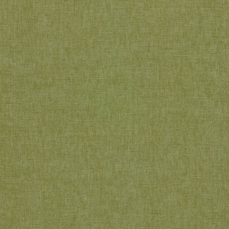 F1707-20 Paradiso Palm Fabric by Clarke & Clarke