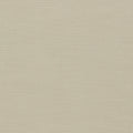 Paradiso Pebble Fabric by Clarke & Clarke