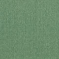 Paradiso Sage Fabric by Clarke & Clarke