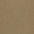 Paradiso Sesame Fabric by Clarke & Clarke