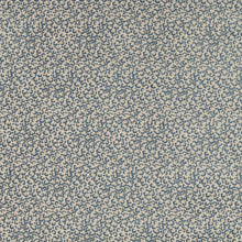 F1714/02 Pokot Breegan Jane Denim Clarke & Clarke Fabric