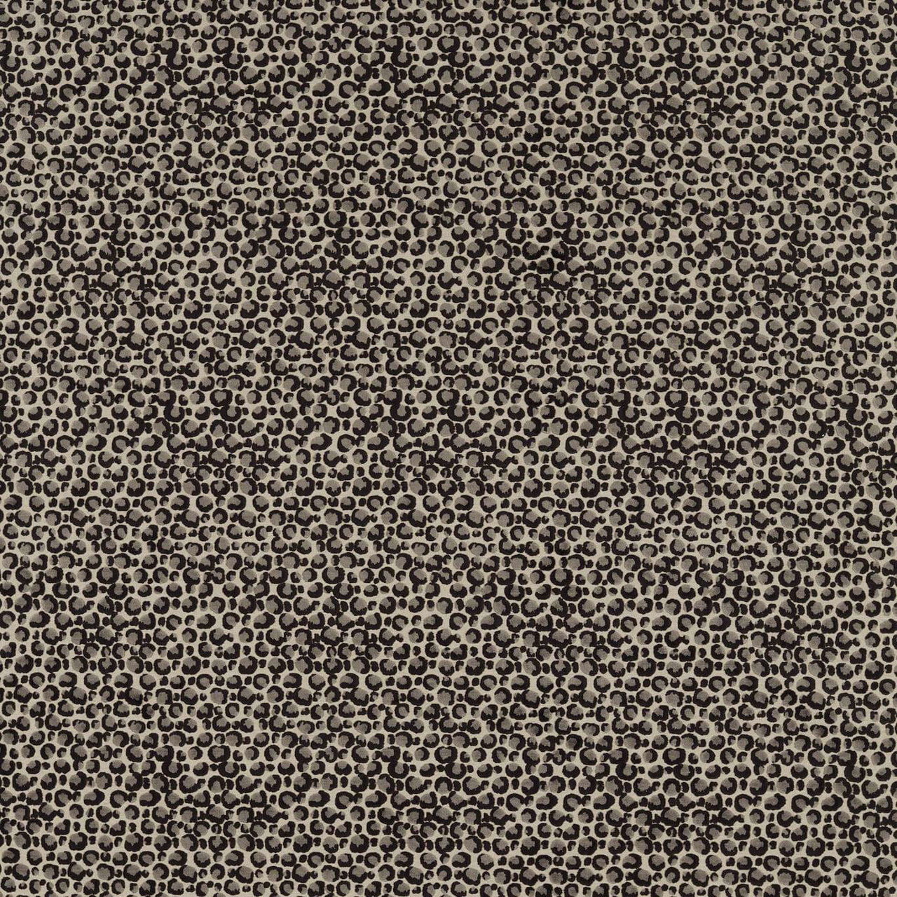 F1714/04 Pokot Breegan Jane Noir Clarke & Clarke Fabric