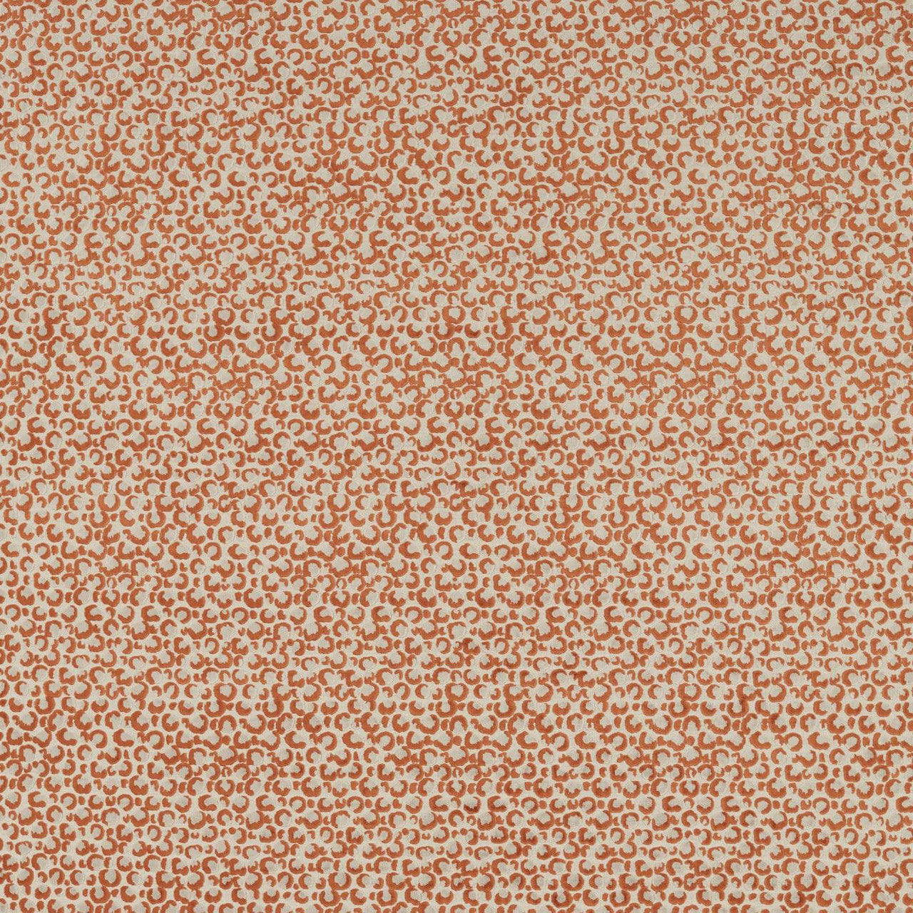 F1714/05 Pokot Breegan Jane Spice Clarke & Clarke Fabric
