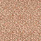 F1714/05 Pokot Breegan Jane Spice Clarke & Clarke Fabric