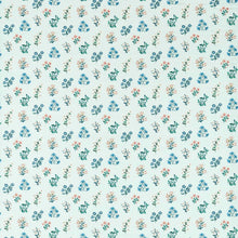 F1736/04 Leiden Secret Garden Saeglass Clarke & Clarke Fabric