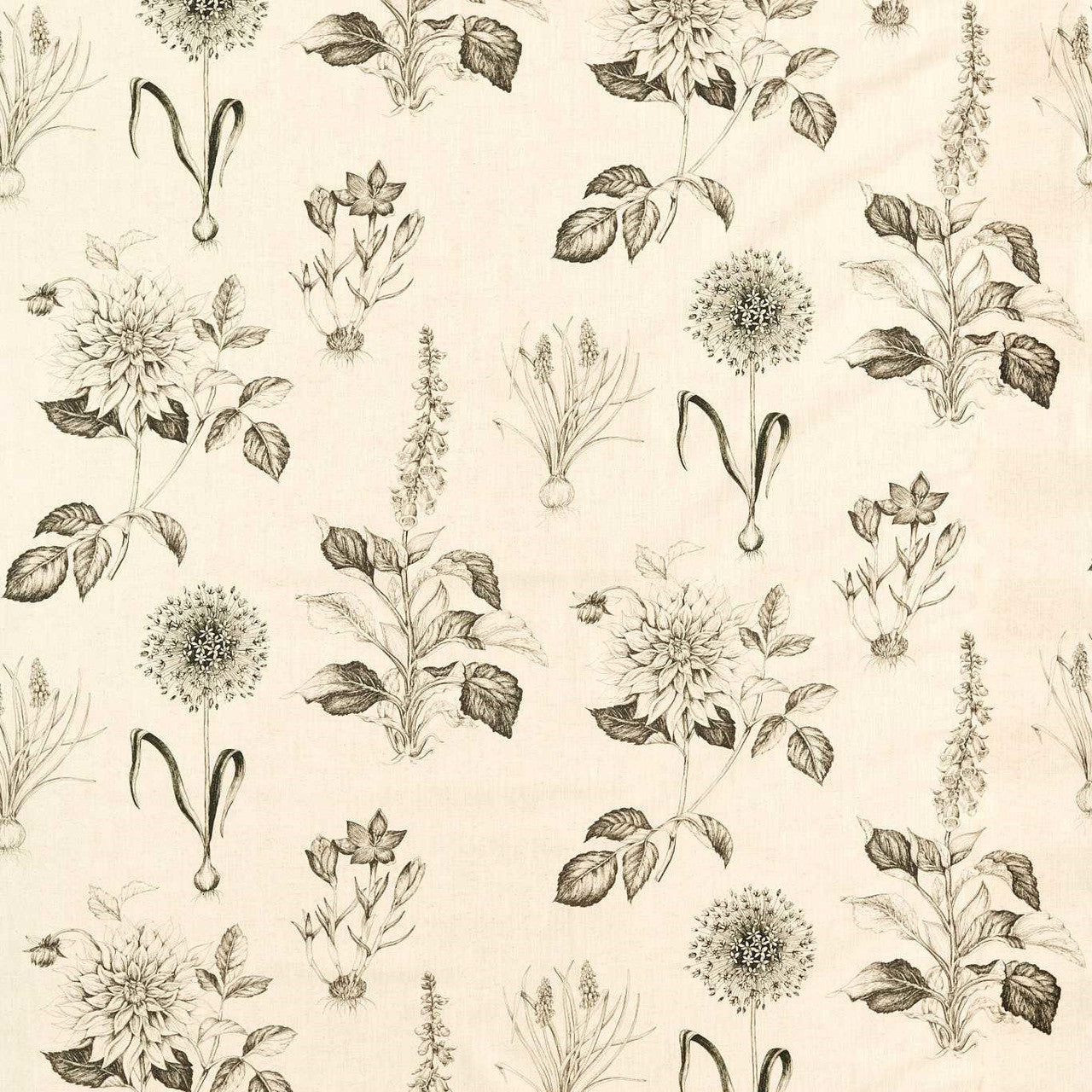 F1738/02 Roseraie Secret Garden Charcoal Clarke & Clarke Fabric