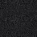 Castus Aqueous Performance Ebony Fabric by Clarke and Clarke