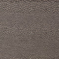 Castus Aqueous Performance Espresso Fabric by Clarke and Clarke