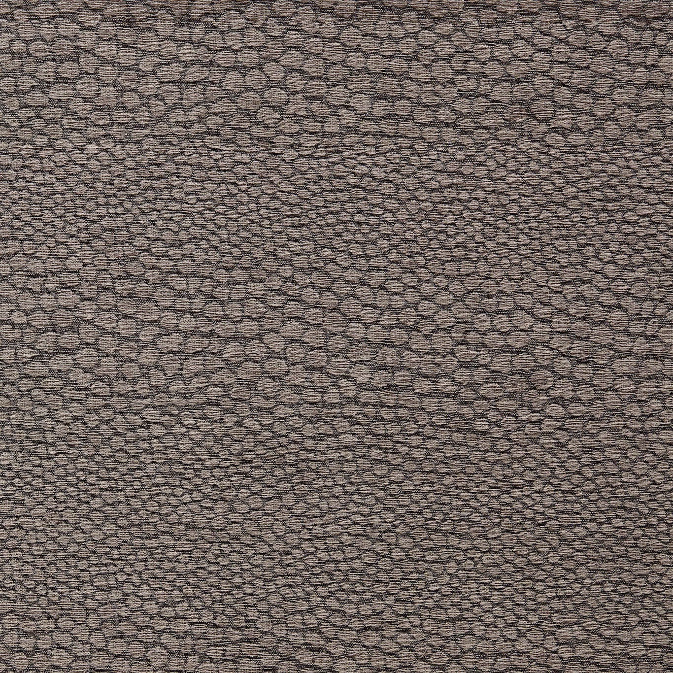 F1788/03 Castus Aqueous Performance Espresso Fabric by Clarke and Clarke