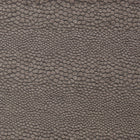 F1788/03 Castus Aqueous Performance Espresso Fabric by Clarke and Clarke