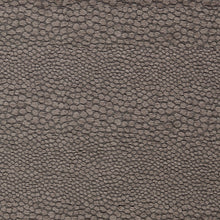 F1788/03 Castus Aqueous Performance Espresso Fabric by Clarke and Clarke