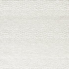 F1788/04 Castus Aqueous Performance Ivory Fabric by Clarke and Clarke