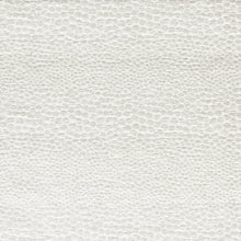 F1788/04 Castus Aqueous Performance Ivory Fabric by Clarke and Clarke