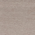 Castus Aqueous Performance Mink Fabric by Clarke and Clarke