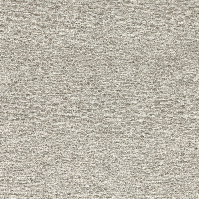 F1788/09 Castus Aqueous Performance Pebble Fabric by Clarke and Clarke