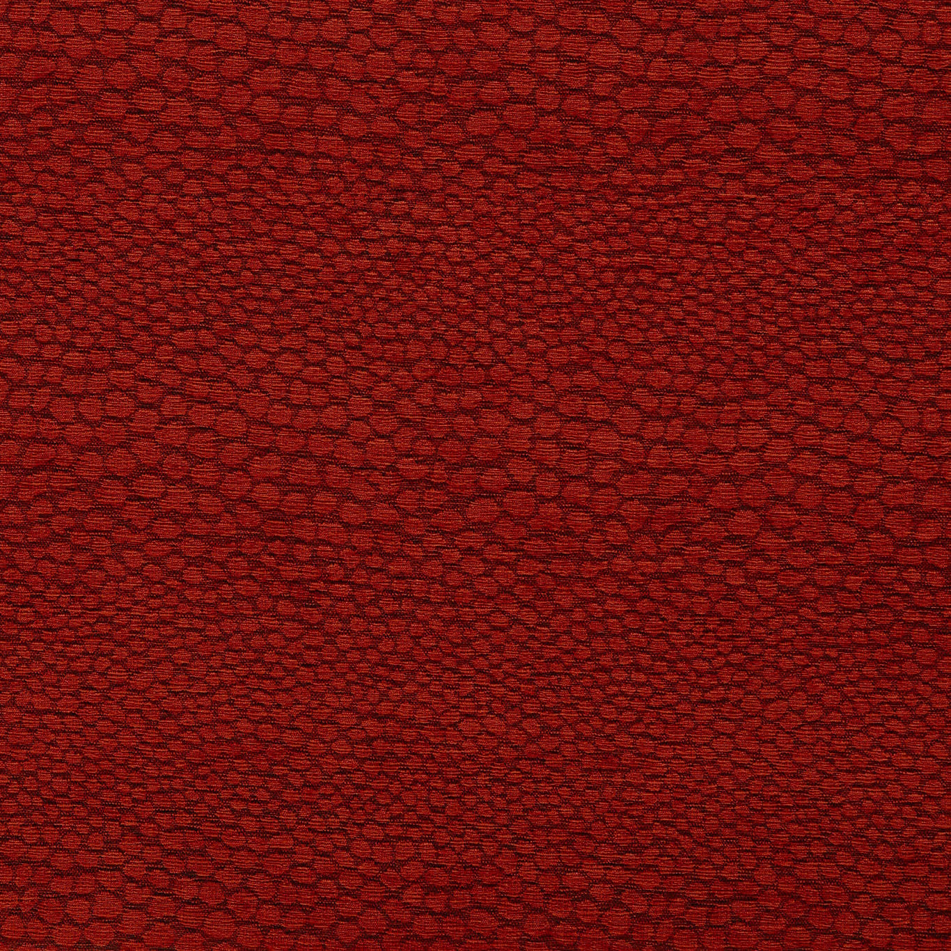 F1788/10 Castus Aqueous Performance Spice Fabric by Clarke and Clarke