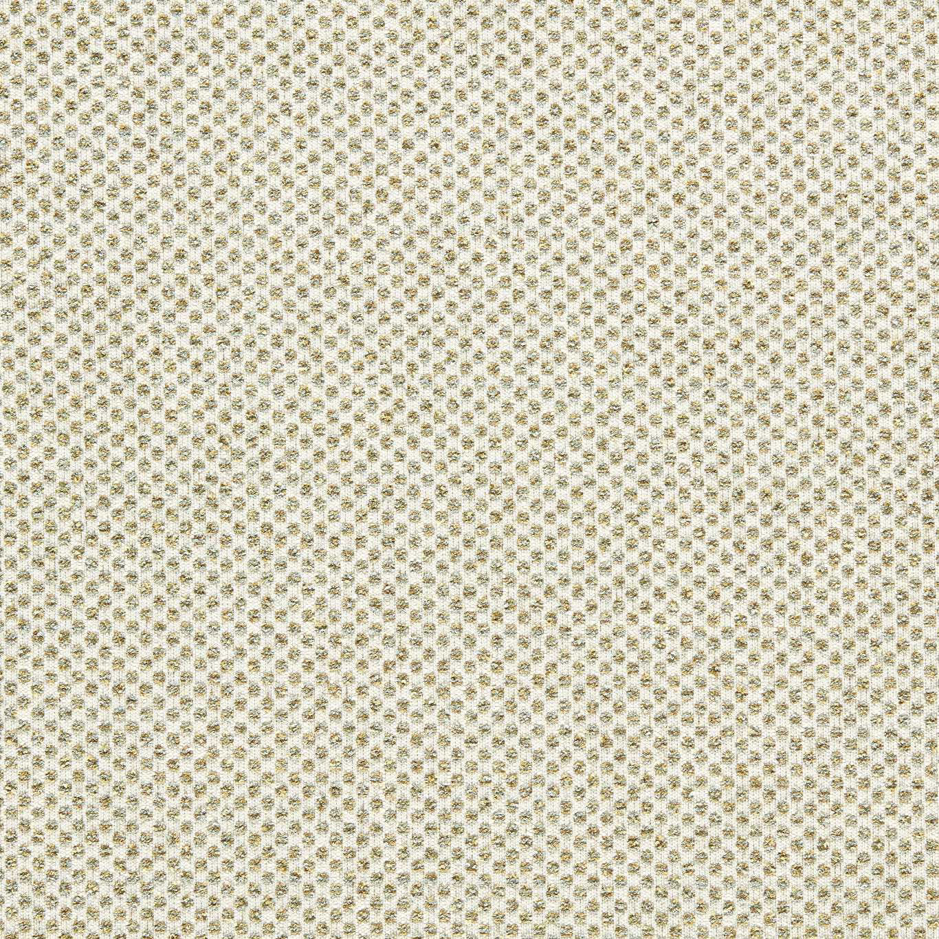 F1803/05 Sotano Espectro Weaves Palm Fabric by Clarke and Clarke