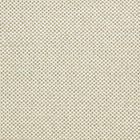 F1803/05 Sotano Espectro Weaves Palm Fabric by Clarke and Clarke