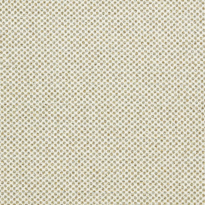 F1803/05 Sotano Espectro Weaves Palm Fabric by Clarke and Clarke