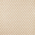 Torre Espectro Weaves Camel Fabric by Clarke and Clarke