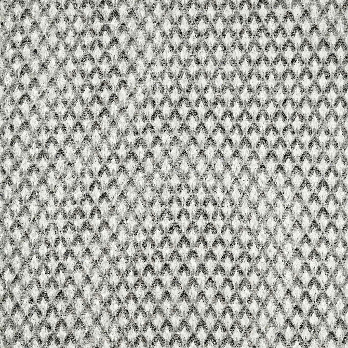 F1804/04 Torre Espectro Weaves Dove/Noir Fabric by Clarke and Clarke