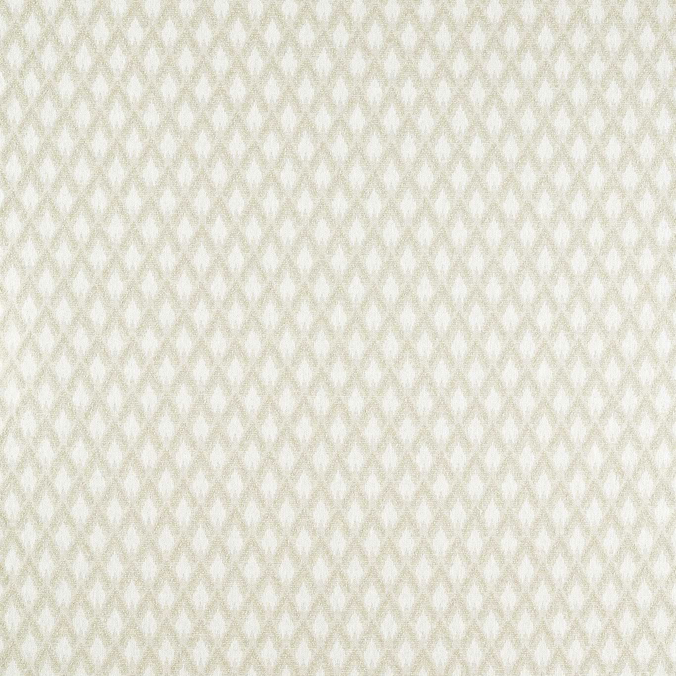 F1804/05 Torre Espectro Weaves Ivory Fabric by Clarke and Clarke