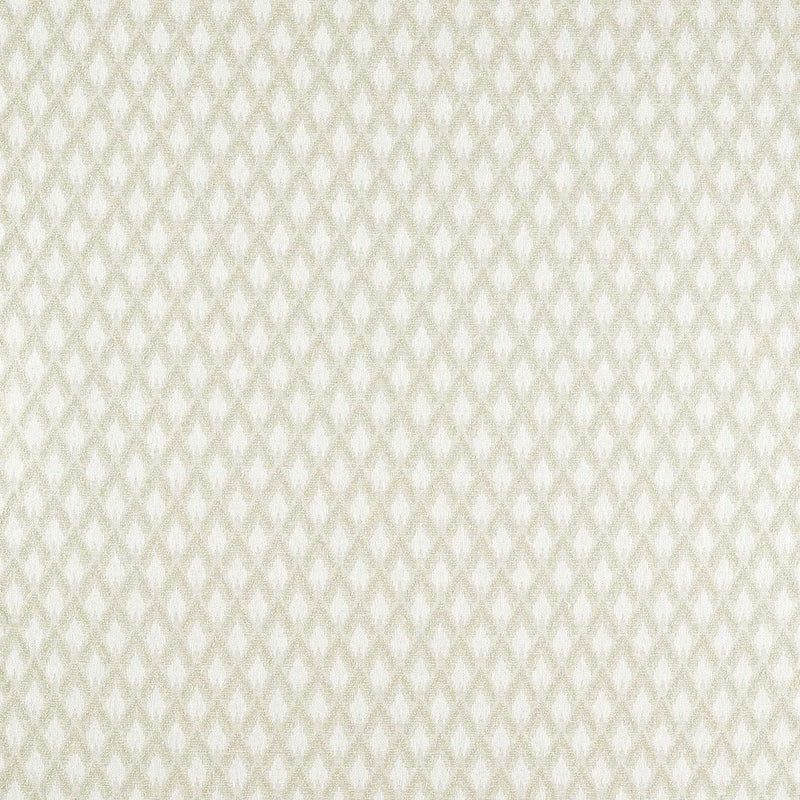 F1804/05 Torre Espectro Weaves Ivory Fabric by Clarke and Clarke