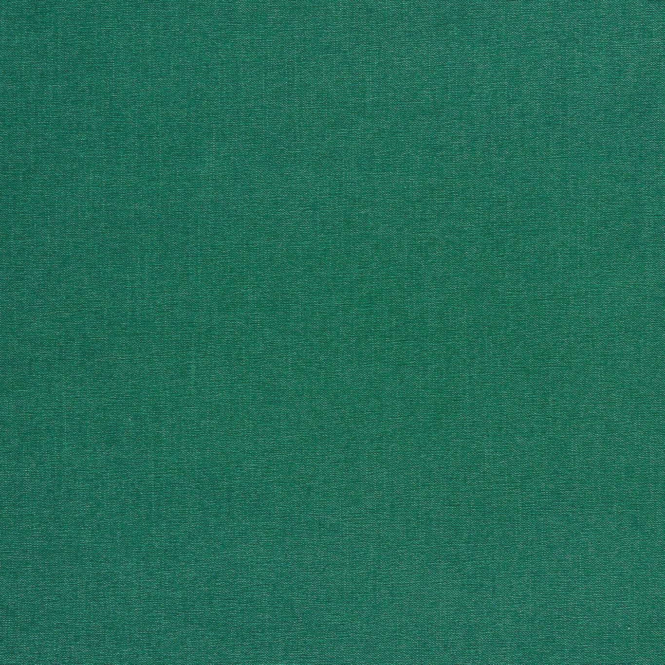 F1806/12 Jaipur Chenille Emerald Fabric by Clarke and Clarke