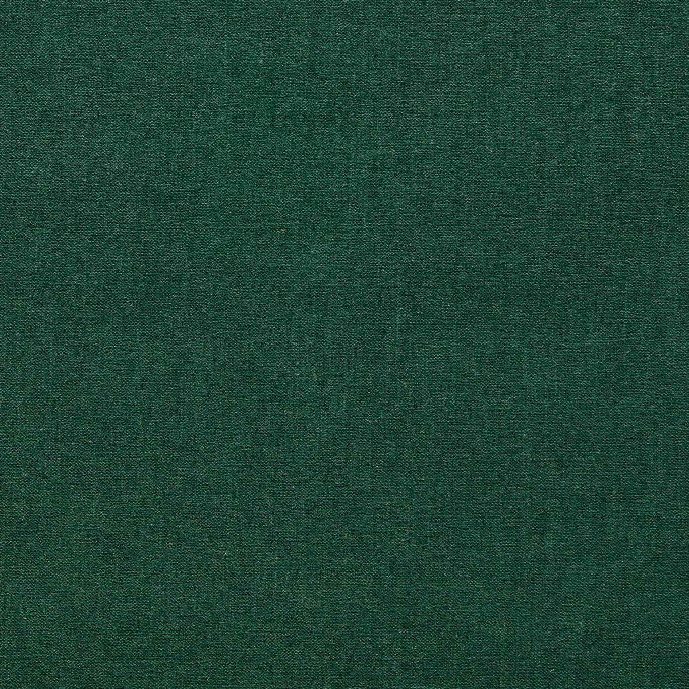 F1806/14 Jaipur Chenille Forest Fabric by Clarke and Clarke