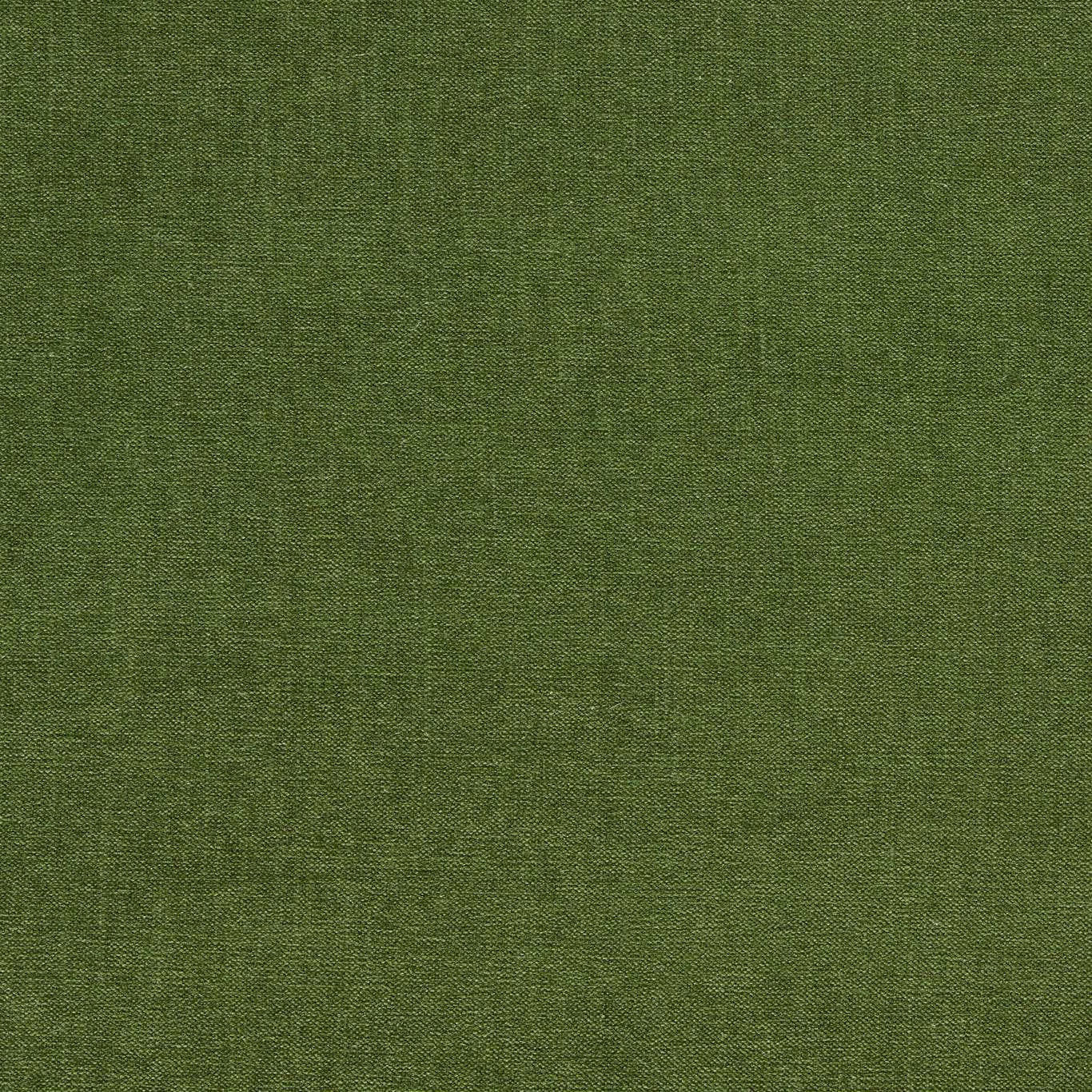 F1806/16 Jaipur Chenille Herb Fabric by Clarke and Clarke