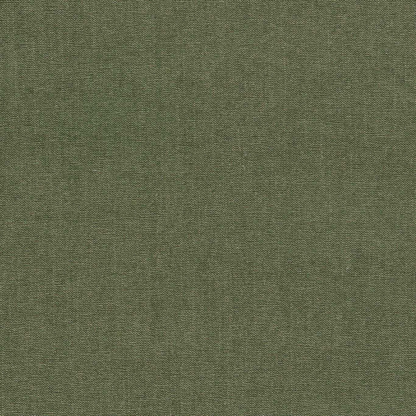 F1806/22 Jaipur Chenille Moss Fabric by Clarke and Clarke