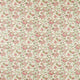 Barmeri Indira Sage/Blush Fabric by Clarke and Clarke