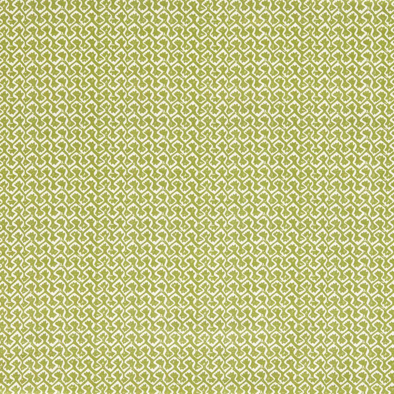 F1810/02 Kalpa Indira Apple Fabric by Clarke and Clarke