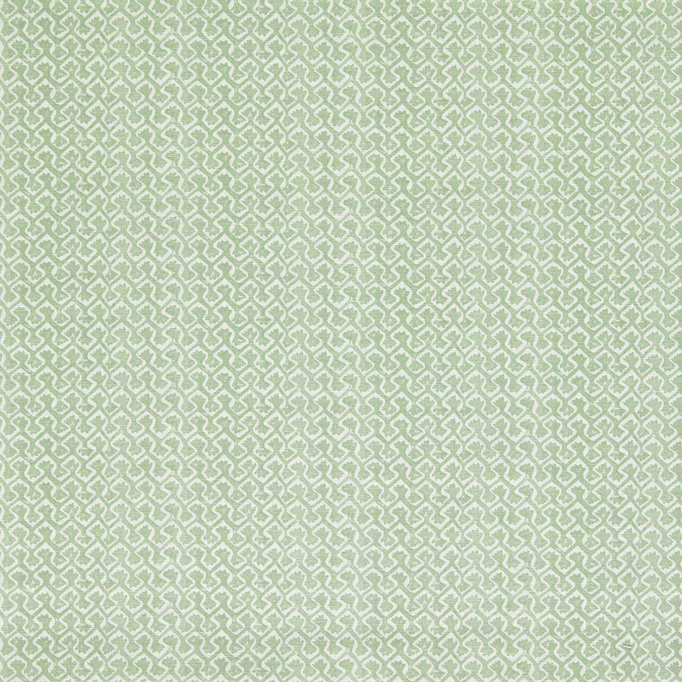 F1810/06 Kalpa Indira Sage Fabric by Clarke and Clarke