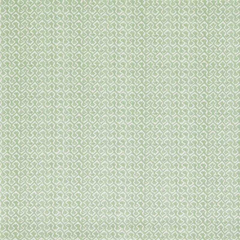 F1810/06 Kalpa Indira Sage Fabric by Clarke and Clarke